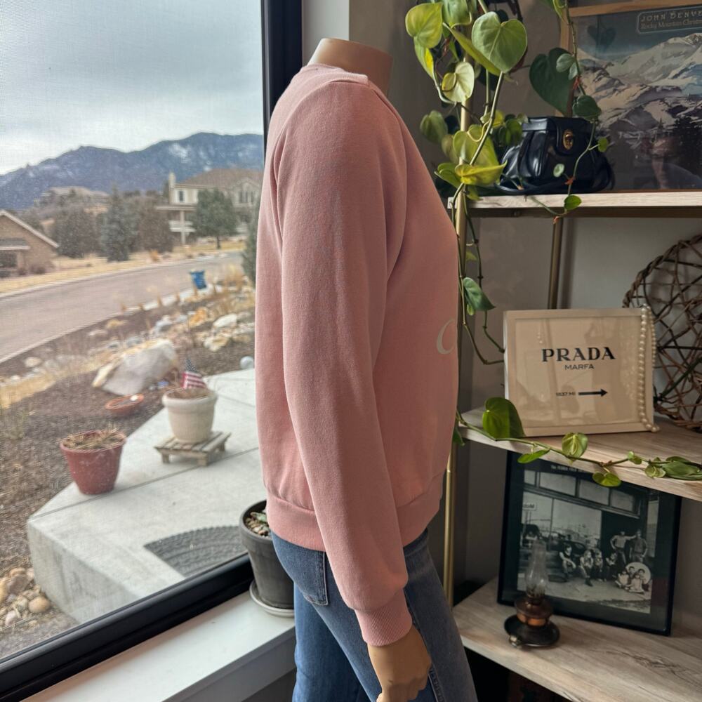 Columbia Women's Trek Graphic Crew Pullover Sweatshirt - Mineral Pink - Size XS - Picture 8 of 11